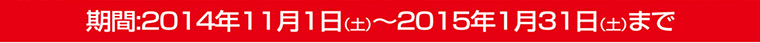 期間:2014年11月1日(土)〜2015年1月31日(土)まで